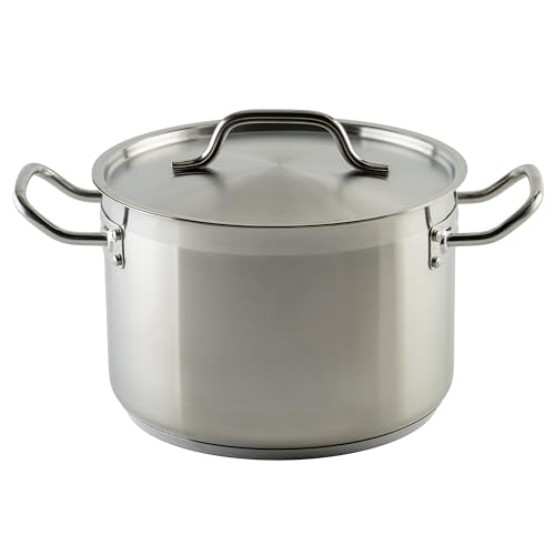 Silver 8 qt Stainless Steel Stock Pot with Cover (8 Quarts / Pot With Cover)
