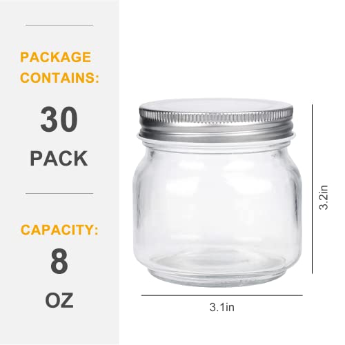 Mason Jars Glass Jars With Lids 8 oz (8oz - Silver Lid)