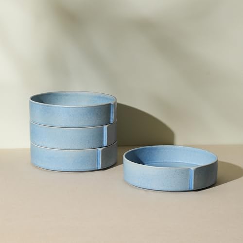 Bao 4 Piece Pasta Bowl Set Stoneware (Blue / 4-Piece - Pasta Bowl)