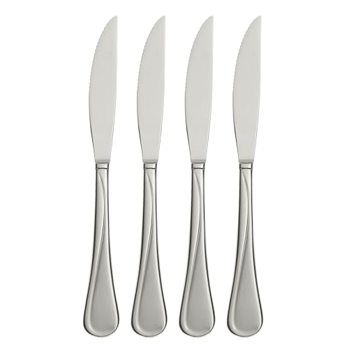 Flight Steak Knives Silverware Set for 4