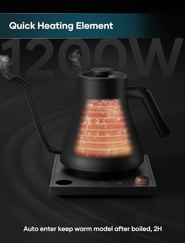 Electric Kettles (Artisan)