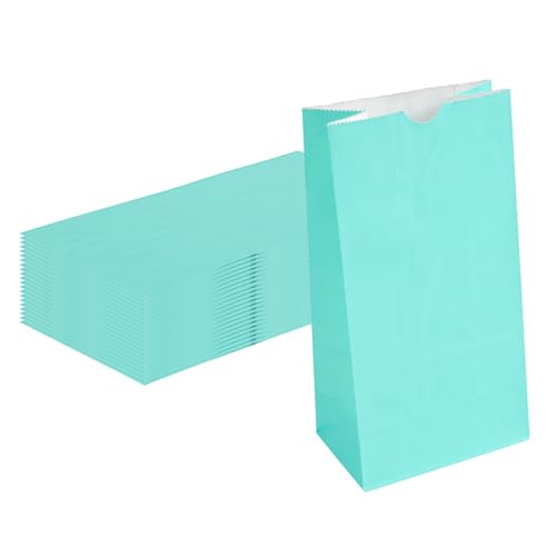 Turquoise Paper Bag (4 lb / Turquoise)