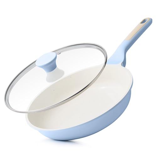 9.5Inch Nonstick Ceramic Frying Pan with Lid (Glacier Blue / 9.5 Inch)