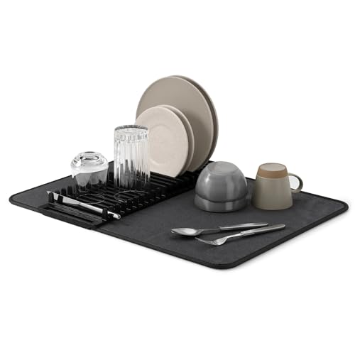 Udry Dish Drying Rack with Mat (24" x 18" / Black)