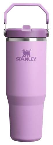 IceFlow 2.0 Flip Straw Tumbler (Lilac 2.0 / 30 Ounces)