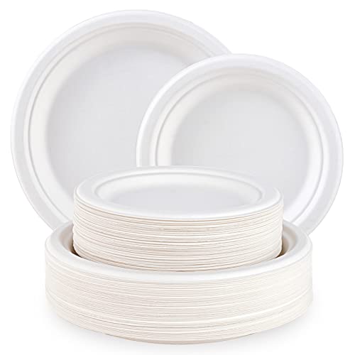 120 Pack Compostable Paper Plates Disposable (9 inch and 7 inch)