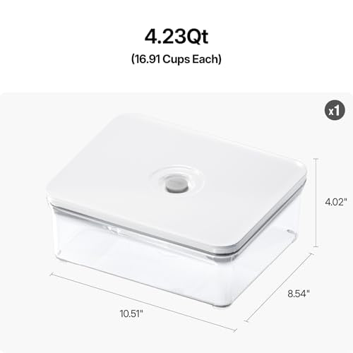 Premium Airtight Food Storage Containers (Large Container 4.0)