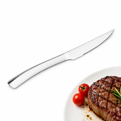 12 Piece Stainless Steel Steak Knife Set (9.06inches Steak Knife 12pcs)