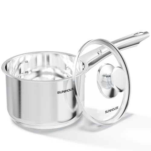 Stainless Steel Saucepan