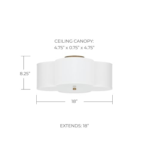 Capital Lighting 4453BG (18" Width)