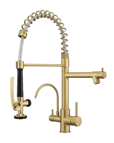 3 Way Kitchen Faucets with Sprayer and Water Filter Brushed Gold (Brushed Gold)