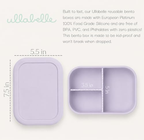 Kids Bento Box
