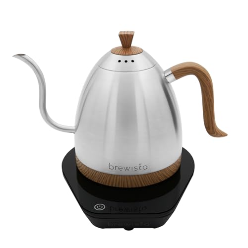 Artisan Electric Gooseneck Kettle (Stainless Steel)