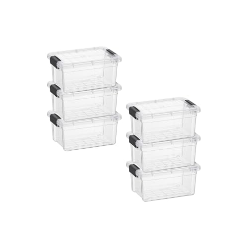 1.05 Quart Mini Clear Plastic Storage Container with Lid (1.05 Quart)