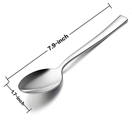 Dinner Spoons Set of 6 (7.9 Inches(Silver))