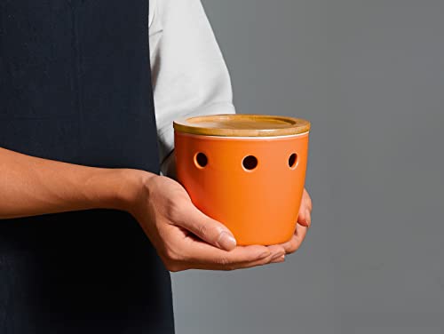Large Garlic Keeper with Lid
