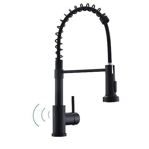 Touchless Kitchen Faucet (Matte Black)