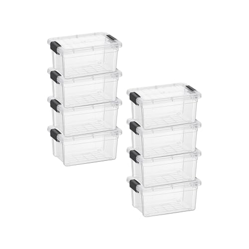 1.05 Quart Mini Clear Plastic Storage Container with Lid (1.05 Quart)