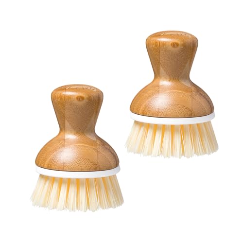 Bubbly Palm Brush