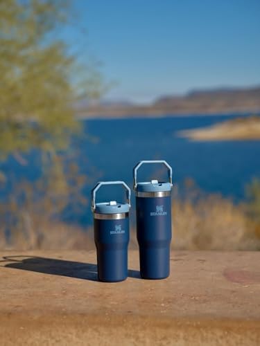 IceFlow Stainless Steel Tumbler (Navy / 20 Ounces)