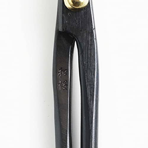 Hanafubuki Wazakura Twig Bonsai Scissors Made in Japan 7inch (Twig 7")