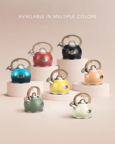 2.1 Qt Whistling Tea Kettle for Stovetop with Heat (Peachy)
