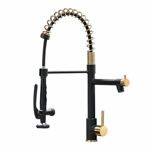Black&Gold Kitchen Faucet with Sprayer (Black&Gold)