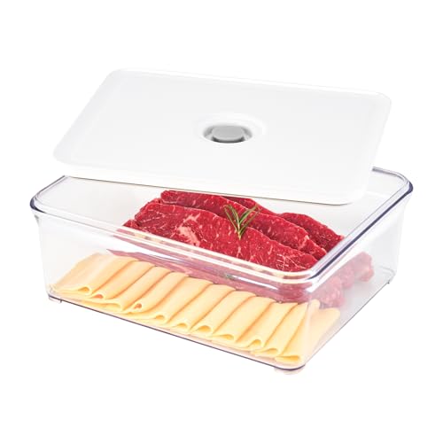 Premium Airtight Food Storage Containers (Large Container 4.0)