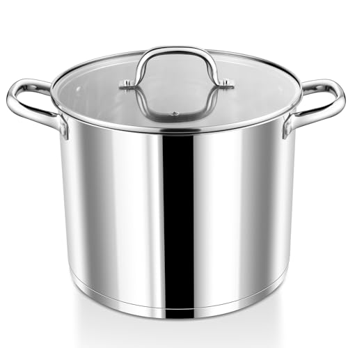 10 QT Stainless Steel Stock Pot with Lid (10 Quarts)