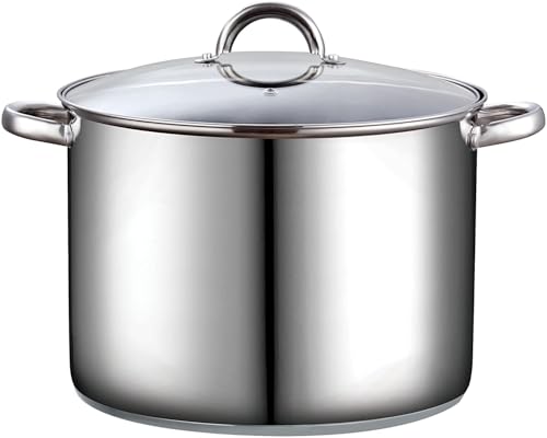 Basics 16 Quart Stainless Steel Stock Pot with Lid (16 Quarts / Silver)