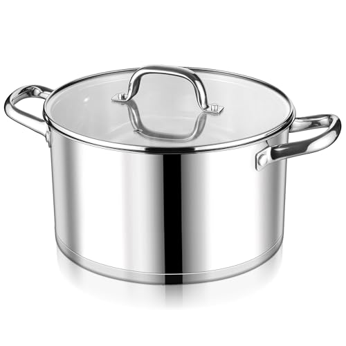 Stainless Steel Stock Pot (8 Quarts)