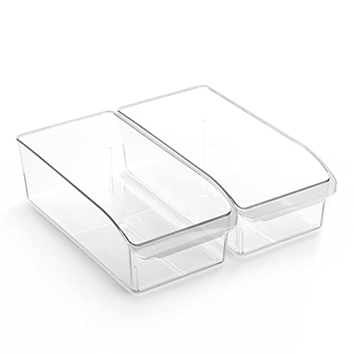 Plastic Storage Bins (2 Count)