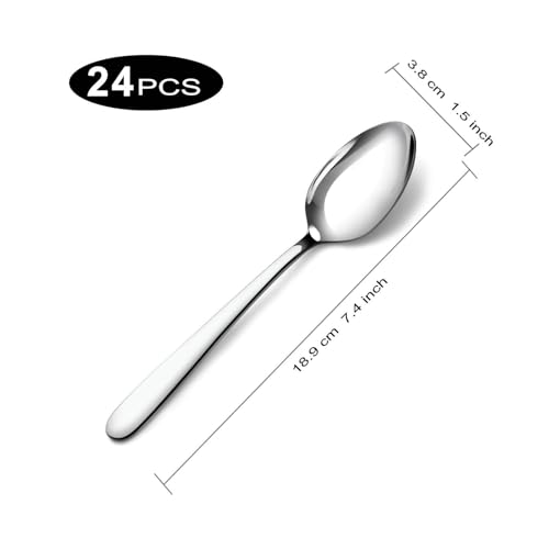 Dinner Spoons (24P 7.4'' Silver Dinner Spoons)