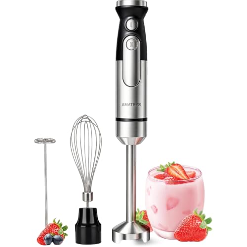 Immersion Hand Blender (Personal Blender)