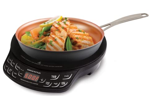 PIC Flex with 9 (PIC Flex + 9" Pan)