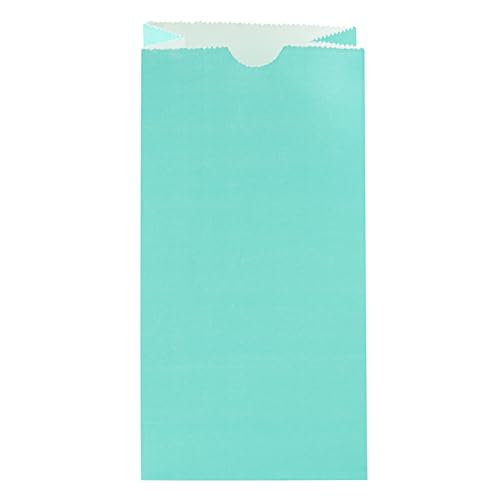 Turquoise Paper Bag (2 lb / Turquoise)