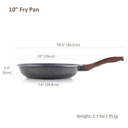 Nonstick Frying Pan Skillet (10 Inch / Gray)