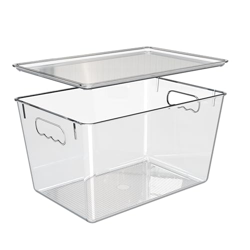 4 Pack Clear Storage Bins with Lids
