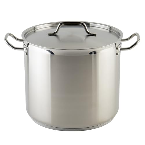 Silver 20 qt Stainless Steel Stock Pot with Cover (20 Quarts / Pot With Cover)