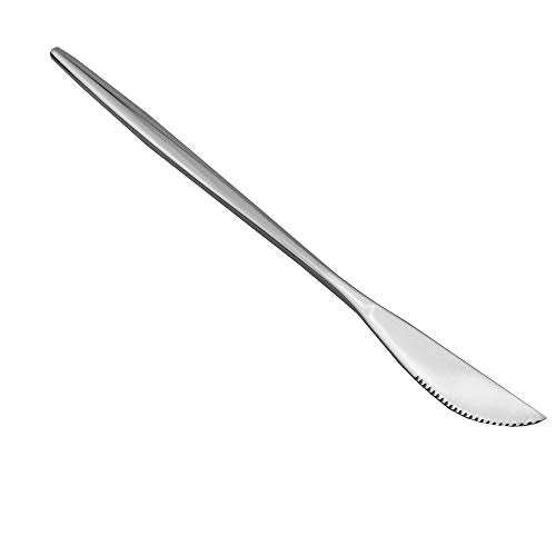 20 Piece Stainless Steel Satin Finish Flatware Set (Service for 4 / Silver)