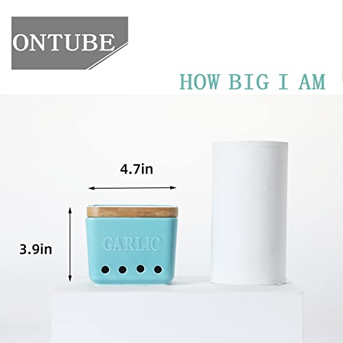 Garlic Keeper with Lid (Turquoise)