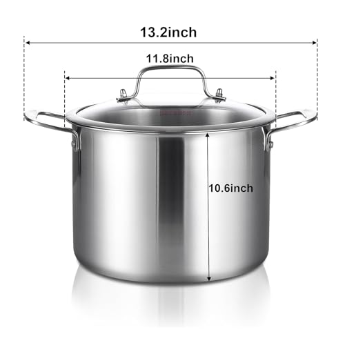 Tri ply Stainless Steel 20 Quart Heavy Duty Induction Stock Pot (Silver / 20 Quarts)