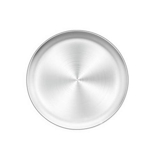 Pizza Pan 10 inch Pizza Pan Stainless Steel Pizza Oven Pan Tray (10 Inch)