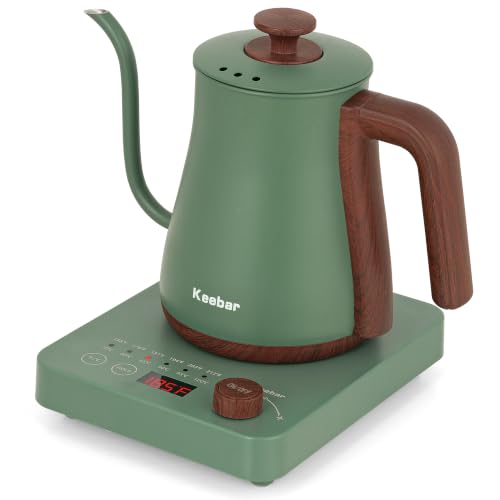 Gooseneck Electric Kettle (Green)