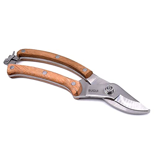 Wood Handle Pruning Shears (8"WoodHandleShears(E012))