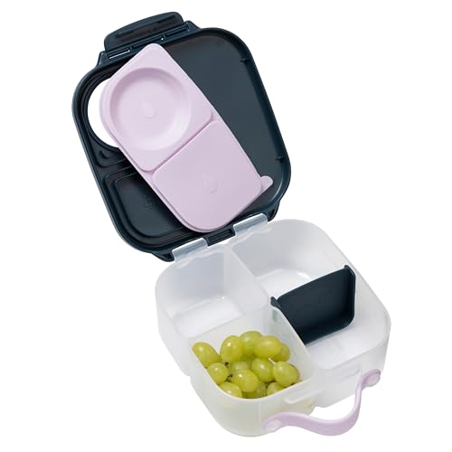 Mini Lunch Box