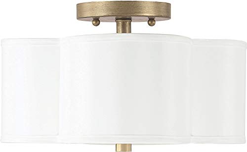 Capital Lighting 4452BG (12" Width)