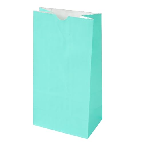 Turquoise Paper Bag (4 lb / Turquoise)