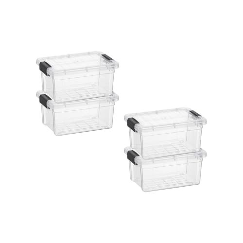 1.05 Quart Mini Clear Plastic Storage Container with Lid (1.05 Quart)