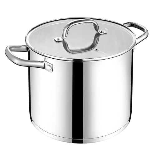 12 QT Stock Pot with Lid (12 Quarts)